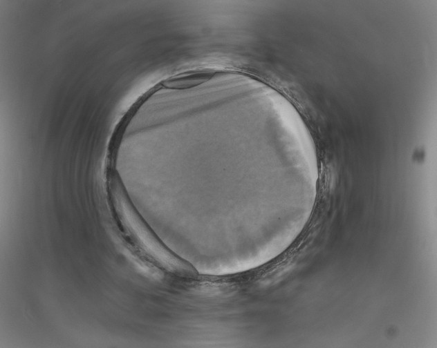 X0000116790292201001291525