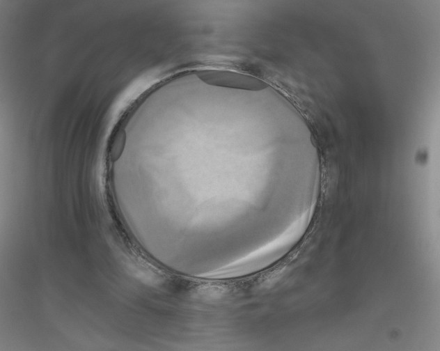 X0000116790294201001291525