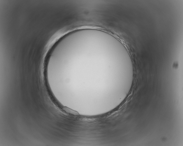 X0000116790296201001291525
