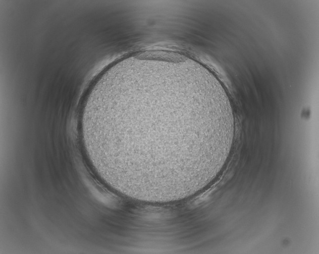 X0000116790298201001291525