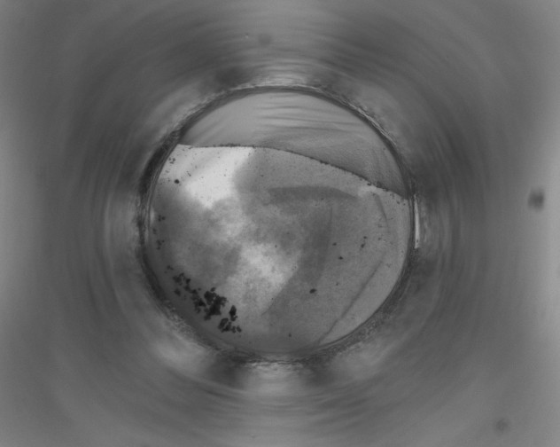 X0000116790300201001291525