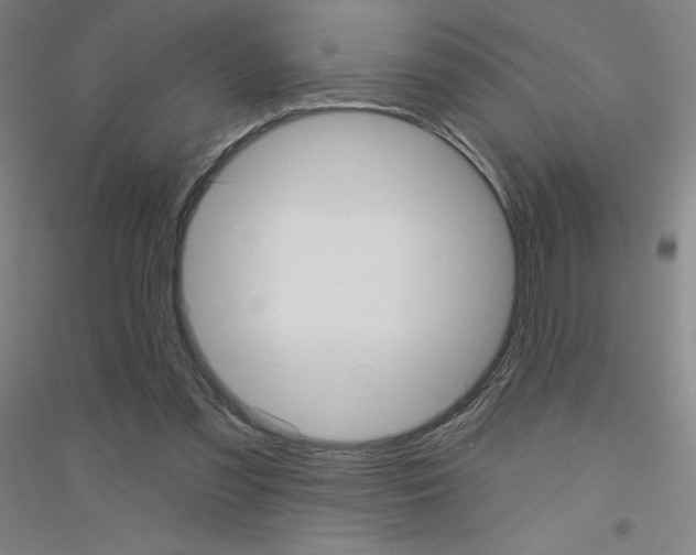 X0000116790301201001291525