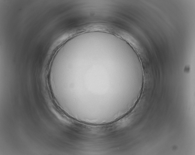 X0000116790302201001291525