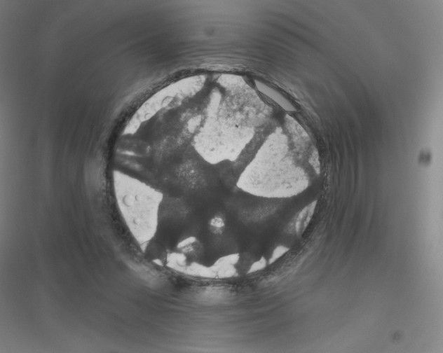 X0000116790303201001291525