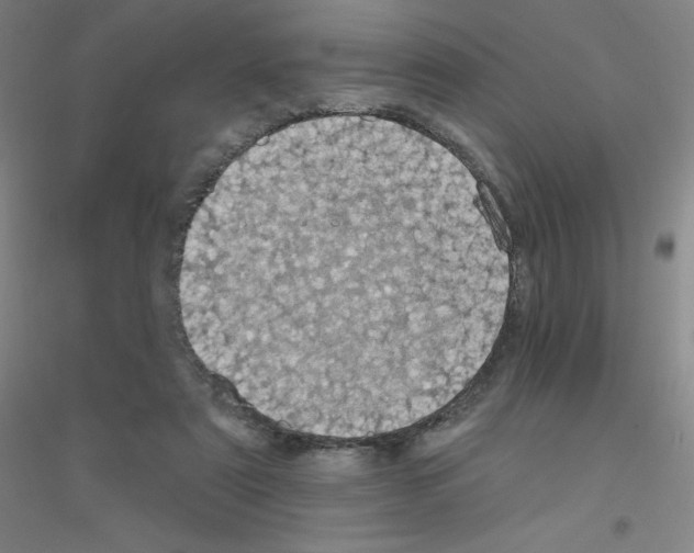 X0000116790307201001291524