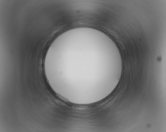 X0000116790308201001291524