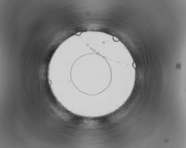 X0000116790311201001291524