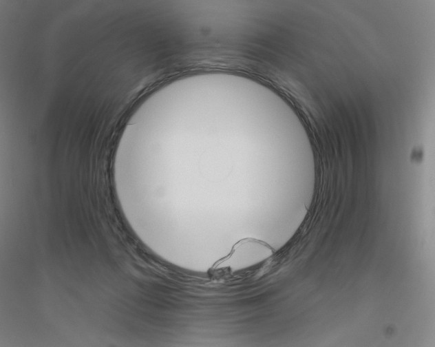 X0000116790312201001291524