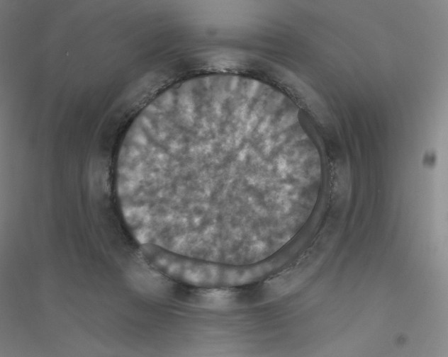 X0000116790313201001291524