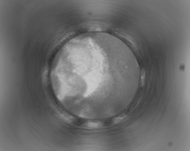 X0000116790314201001291524
