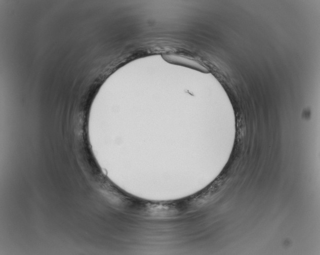 X0000116790315201001291524