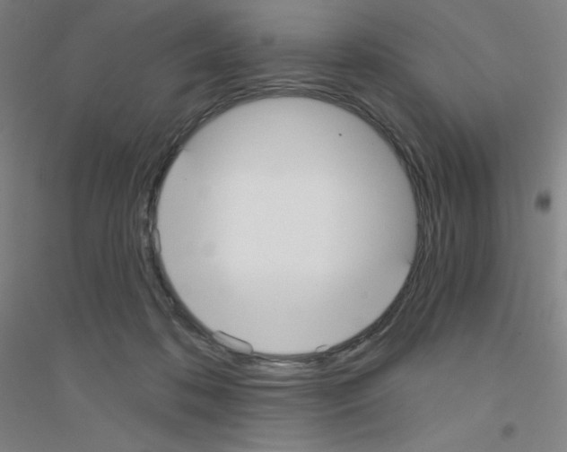 X0000116790316201001291524