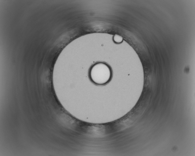 X0000116790317201001291524