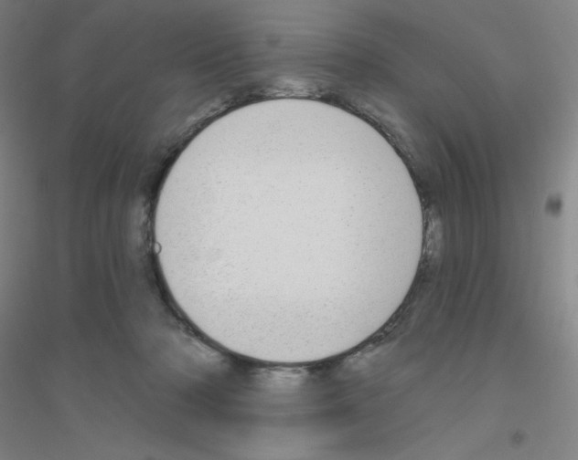 X0000116790318201001291524