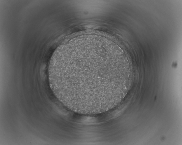 X0000116790319201001291524