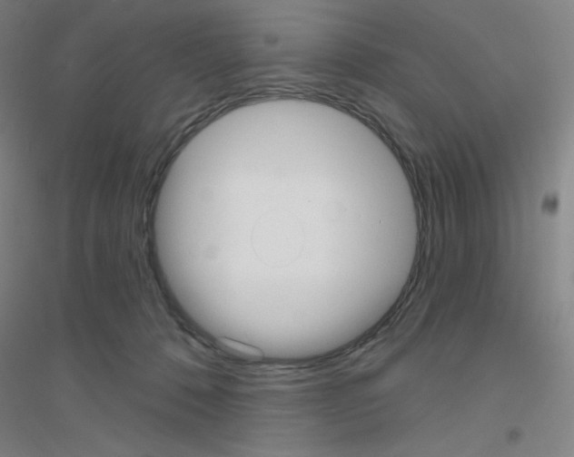 X0000116790320201001291524