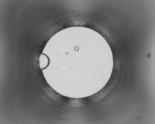 X0000116790321201001291524
