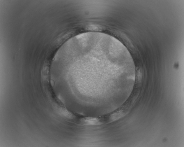 X0000116790322201001291524