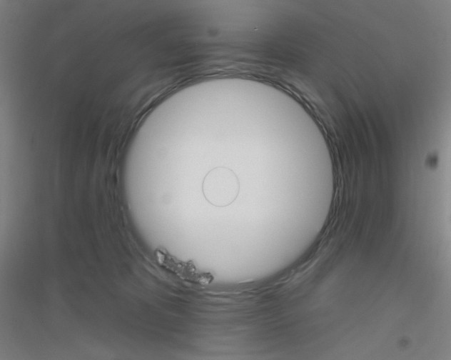X0000116790325201001291524