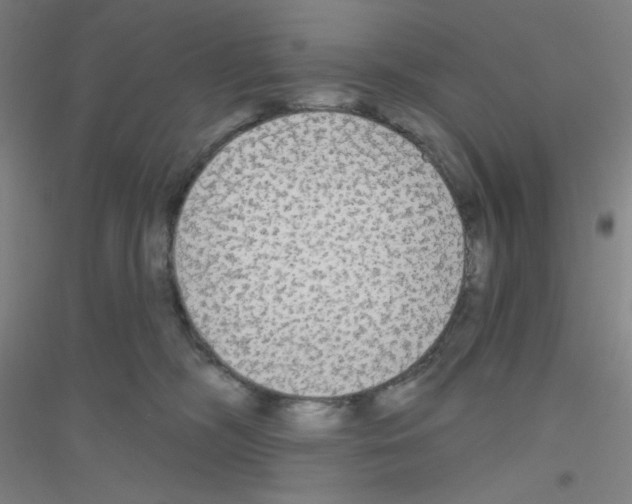 X0000116790326201001291524