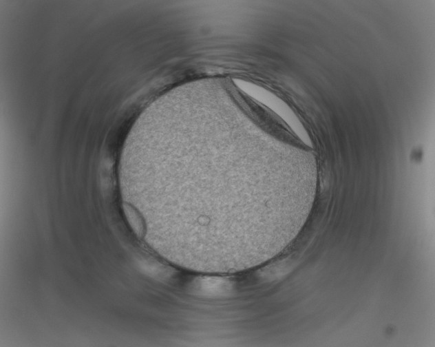 X0000116790327201001291524