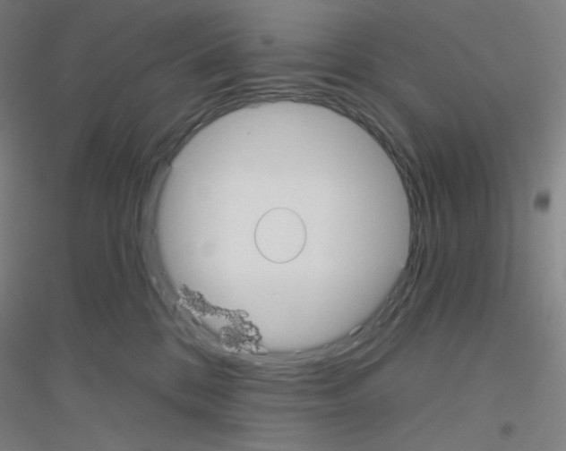 X0000116790328201001291524