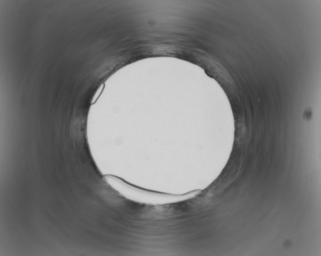 X0000116790329201001291524
