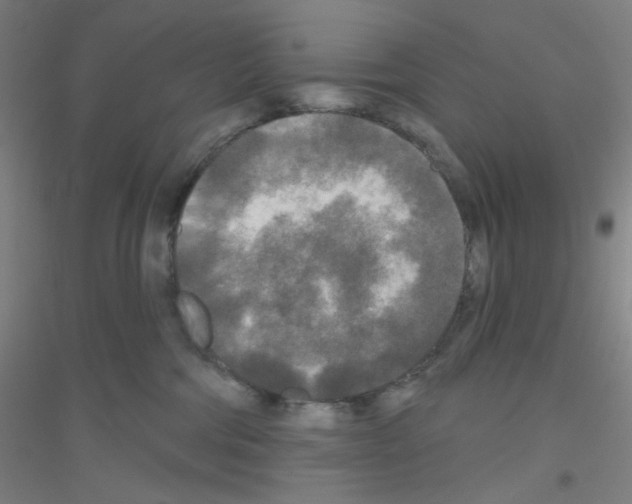 X0000116790330201001291524