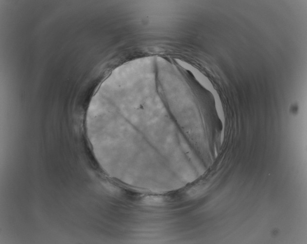 X0000116790332201001291524