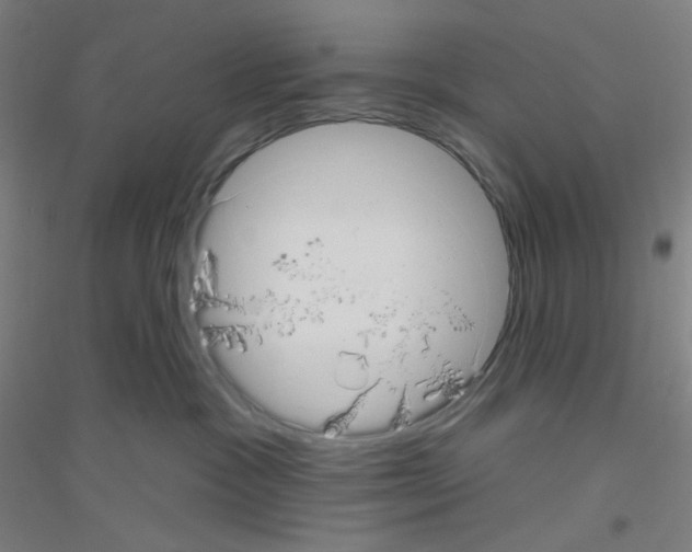 X0000116790333201001291524