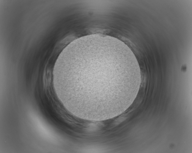 X0000116790334201001291524