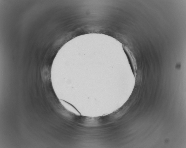 X0000116790335201001291524