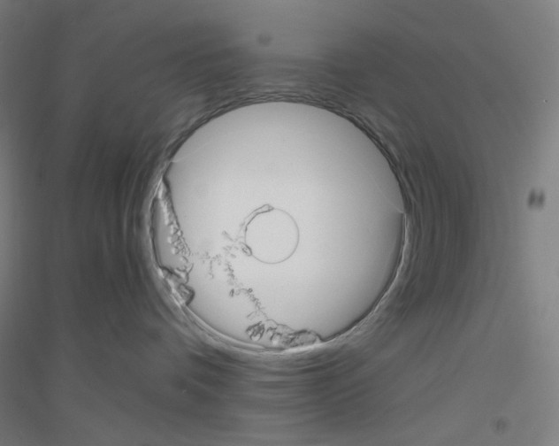 X0000116790336201001291524