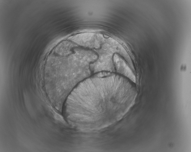 X0000116790337201001291523