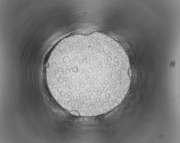 X0000116790338201001291523