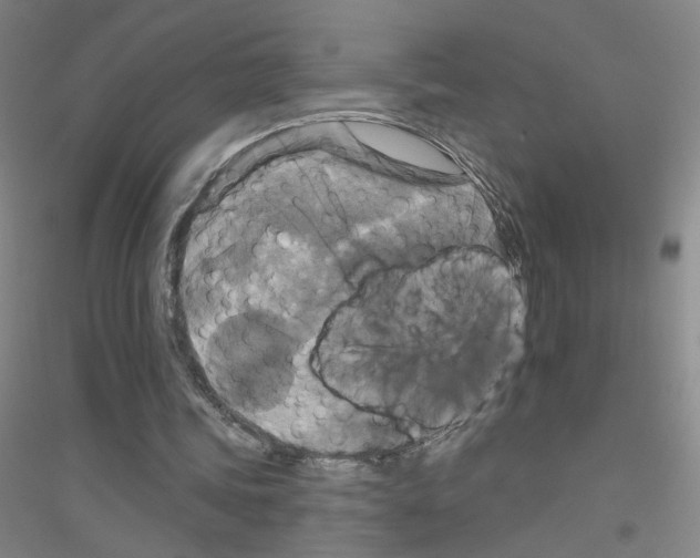 X0000116790339201001291523