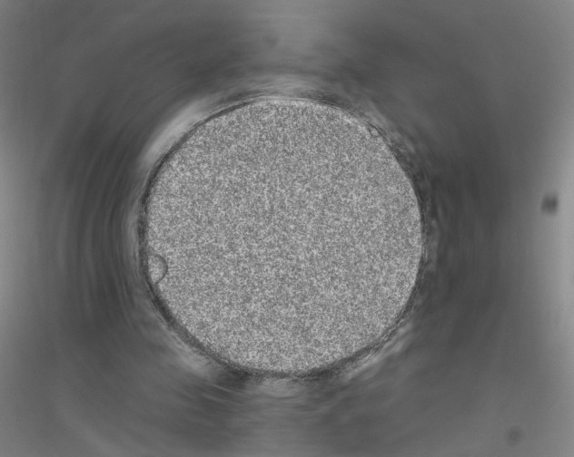 X0000116790341201001291523
