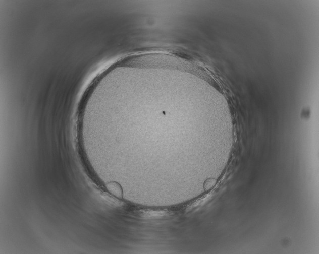 X0000116790342201001291523