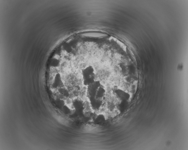 X0000116790346201001291523
