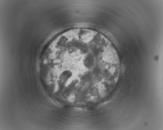 X0000116790347201001291523