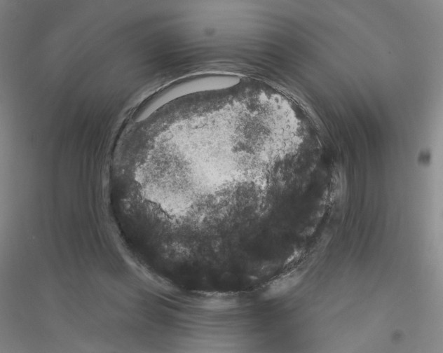 X0000116790349201001291523