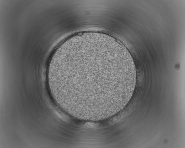 X0000116790350201001291523
