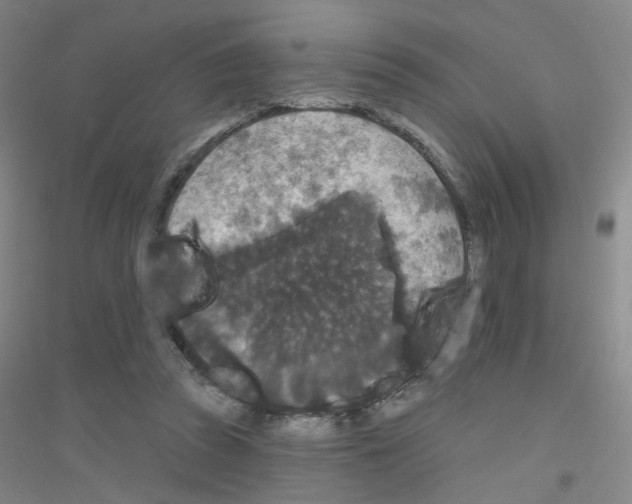 X0000116790353201001291523