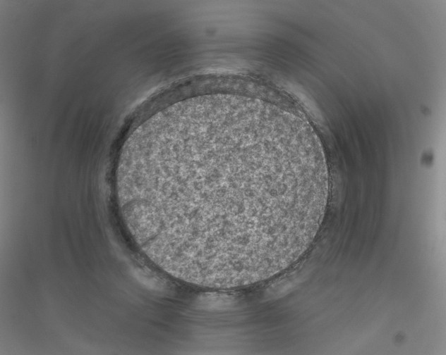 X0000116790354201001291523