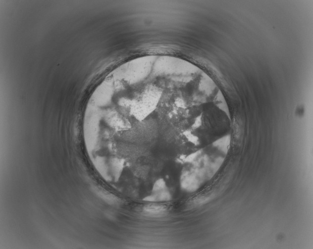 X0000116790357201001291523