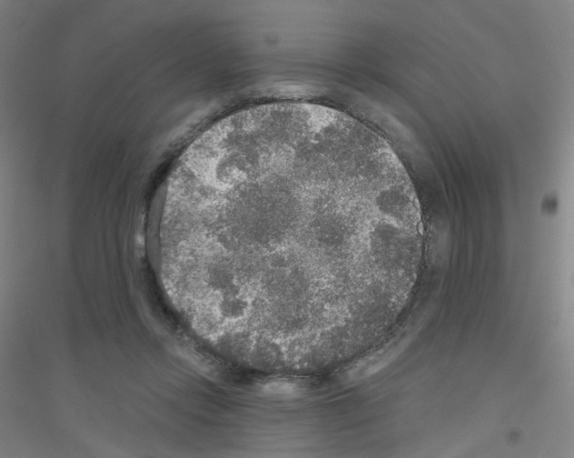 X0000116790358201001291523