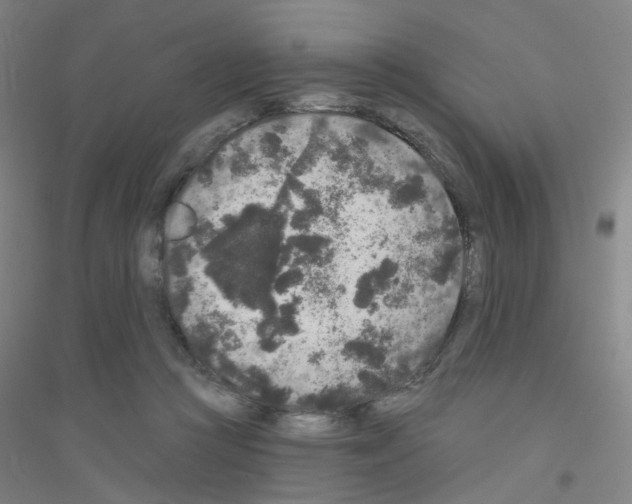 X0000116790361201001291523