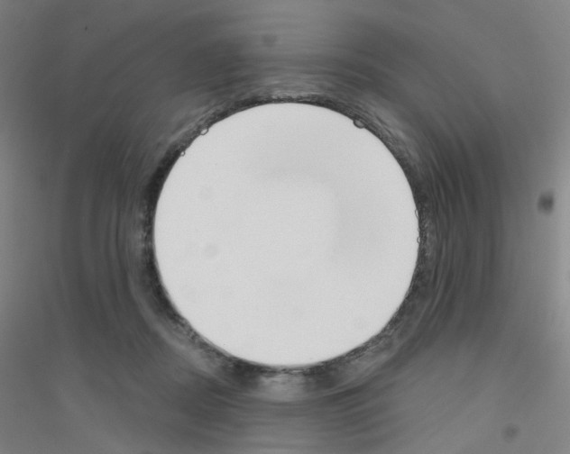 X0000116790362201001291523