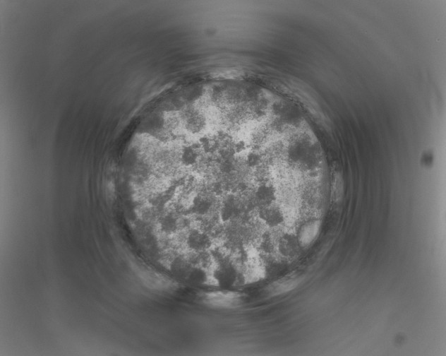 X0000116790363201001291523