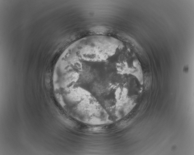 X0000116790365201001291523